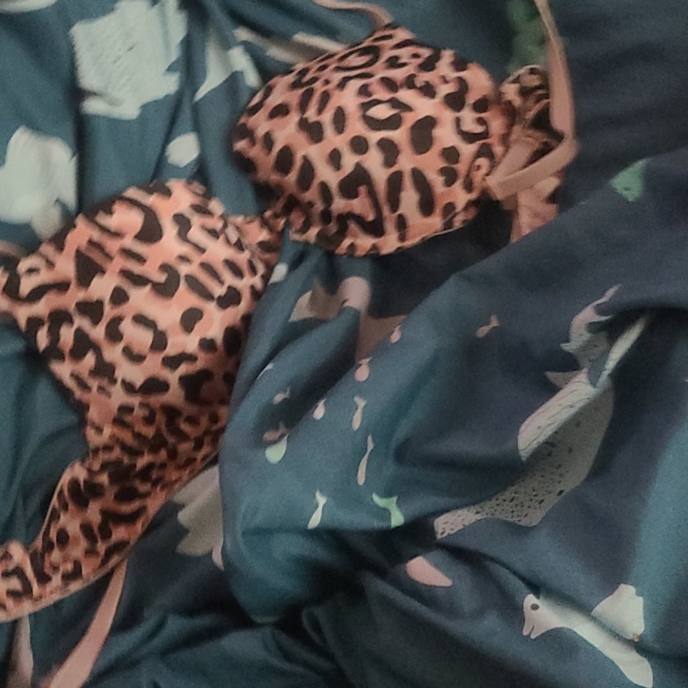 Bra
